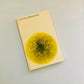Oorstaanson - Lina Spies (First edition)