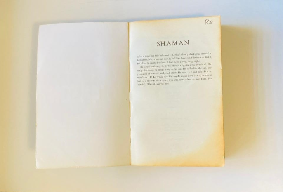 Shaman - Kim Stanley Robinson