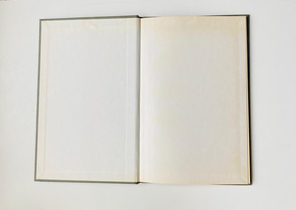 Nagdissipels: Oor kwelvrae van die geloof - Ferdinand Deist (First edition)