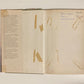 Keerkring van die hart - Ena Murray (First edition)