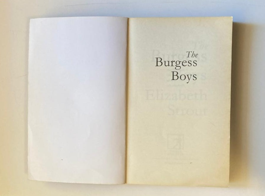 The Burgess Boys - Elizabeth Strout