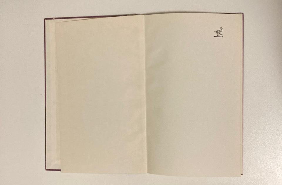 Plaston: DNS-kind - P.G. du Plessis (First edition)
