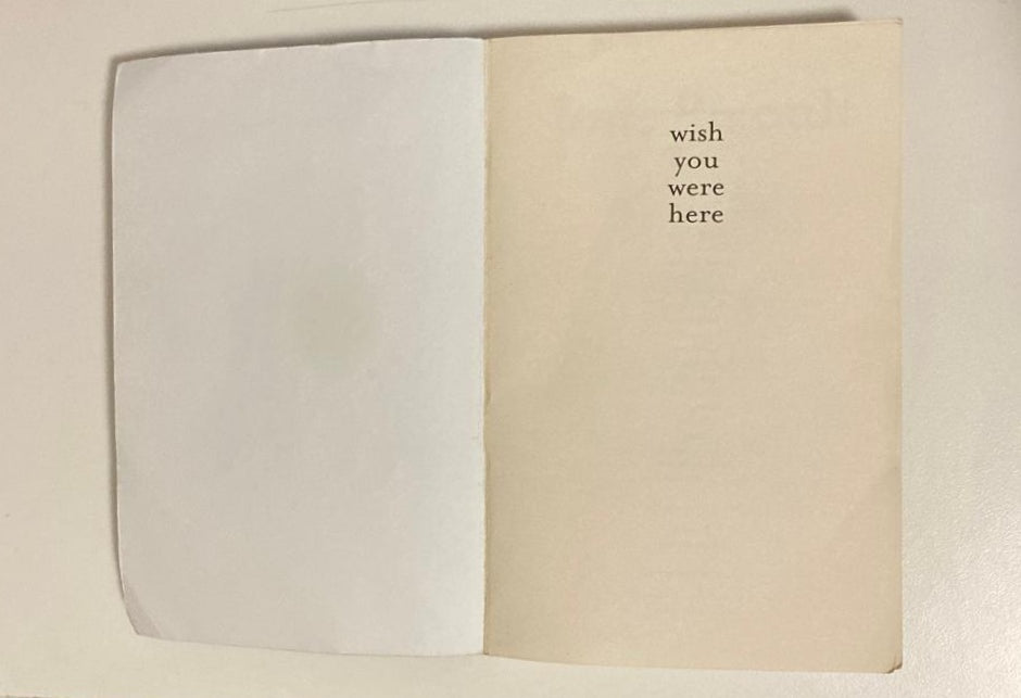 Wish you were here - Jodi Picoult (First edition)