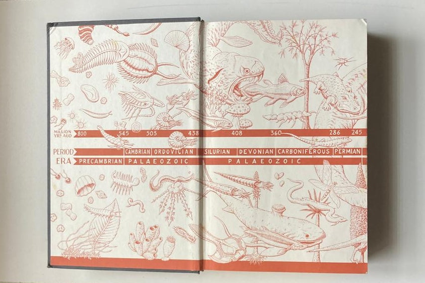 A short history of nearly everything - Bill Bryson