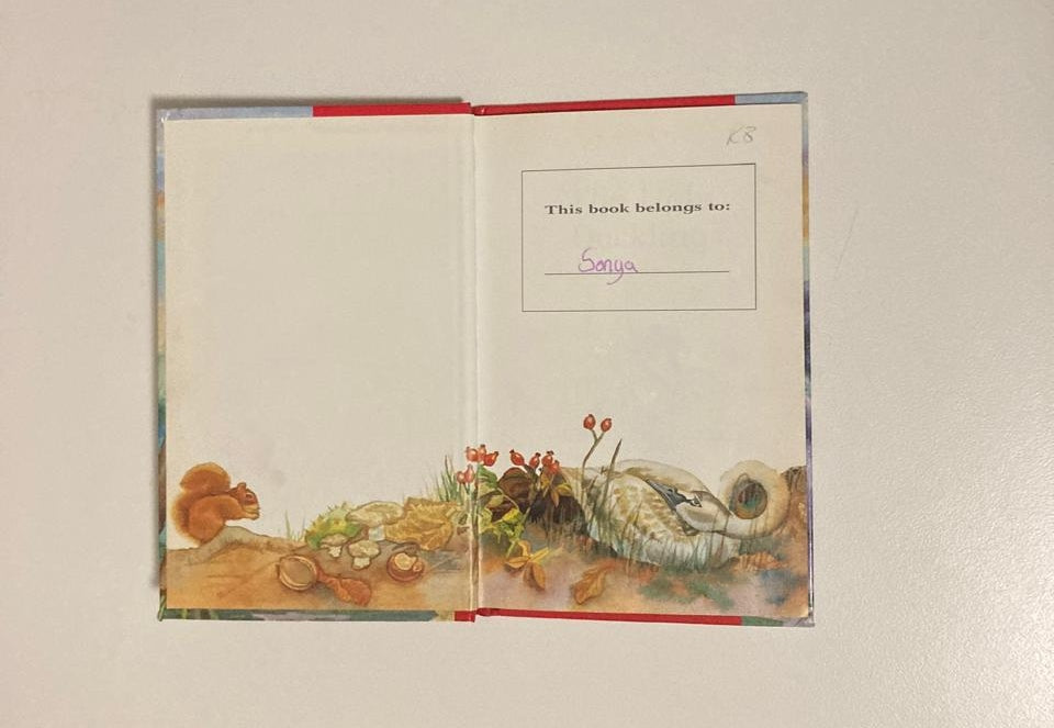 The ugly duckling - Read it yourself series by Ladybird Books
