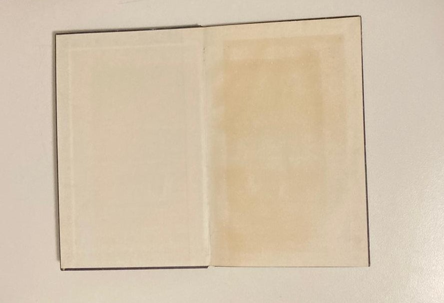 Naggesprek en ander gedigte - W.E.G. Louw (First edition)