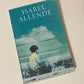 The infinite plan - Isabel Allende