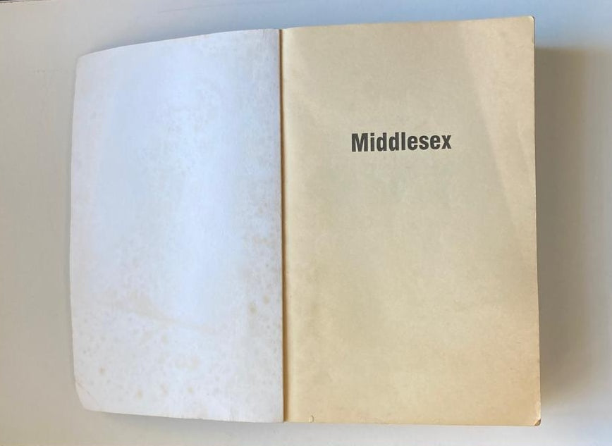 Middlesex - Jeffrey Eugenides