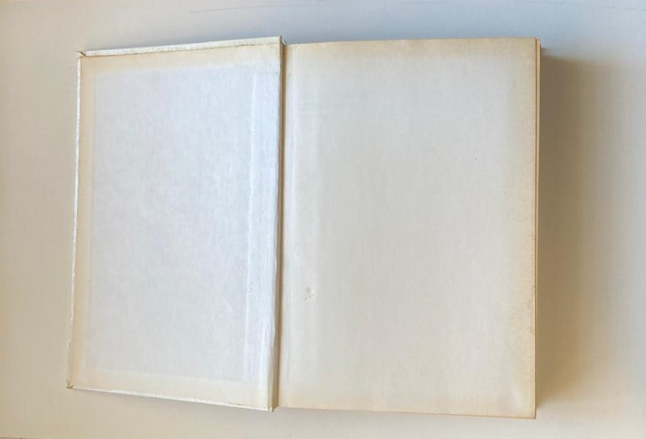 Die Afrikaanse literatuur 1652 - 1987 - J.C. Kannemeyer