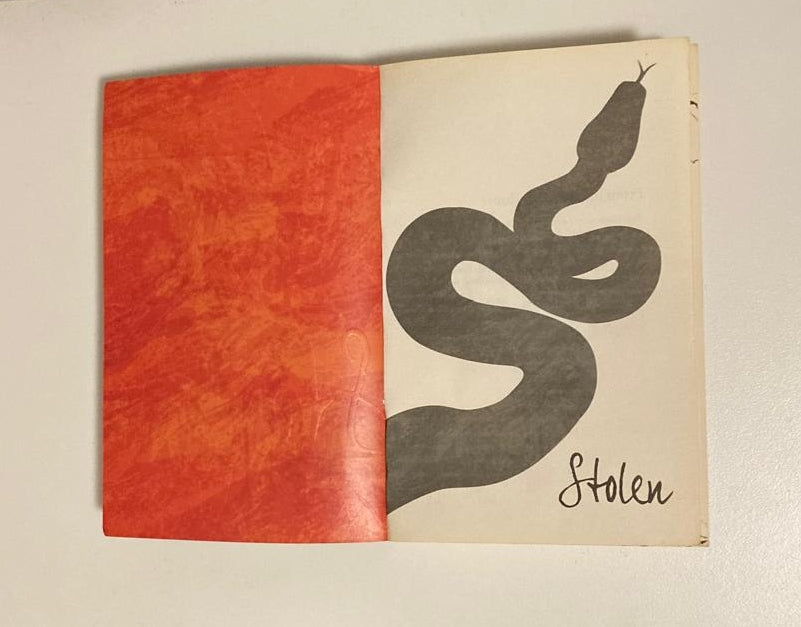 Stolen: A letter to my captor - Lucy Christopher (Stolen #1)