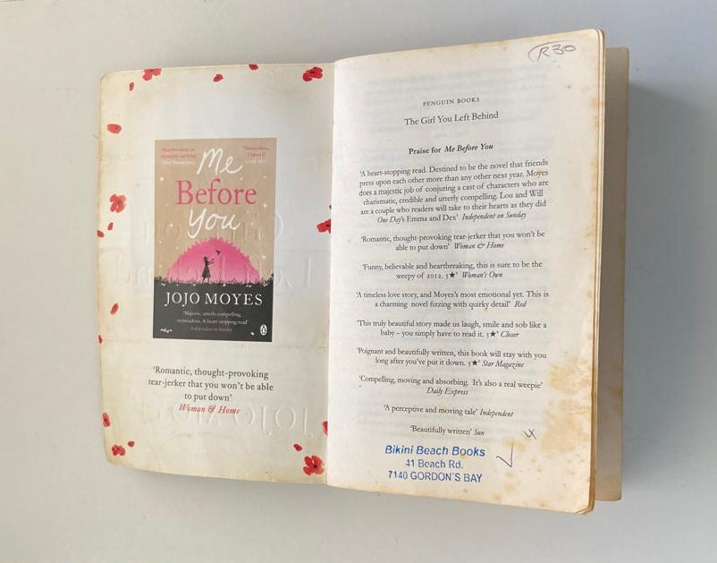 The girl you left behind - Jojo Moyes