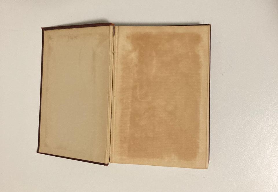 A handbook to the carnivora (Part 1. Cats, civets and mungooses) - Richard Lydekker (Rare)