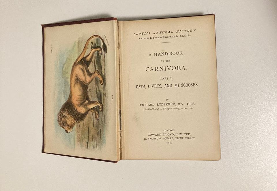 A handbook to the carnivora (Part 1. Cats, civets and mungooses) - Richard Lydekker (Rare)