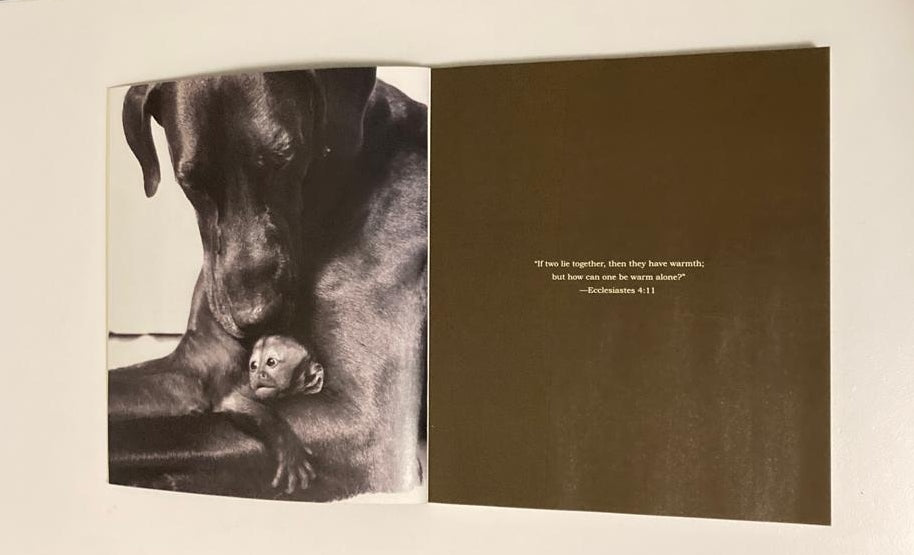 Unlikely friendships: 47 remarkable stories from the animal kingdom - Jennifer S. Holland