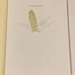 Cycads of Africa -Douglas Goode (Signed)