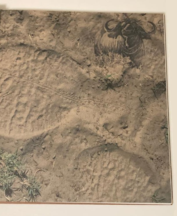 Great tuskers of Africa - Johan Marais and David Hadaway (Rare)