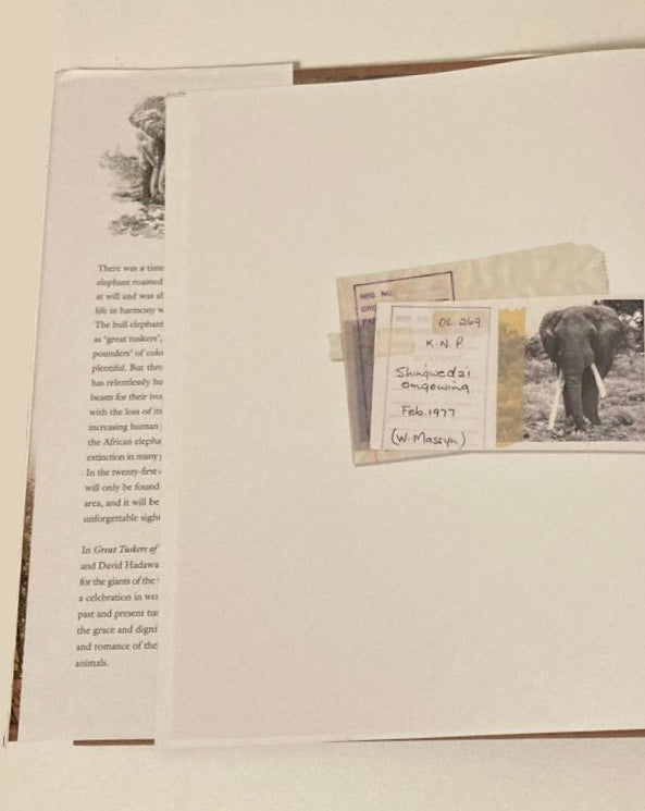 Great tuskers of Africa - Johan Marais and David Hadaway (Rare)