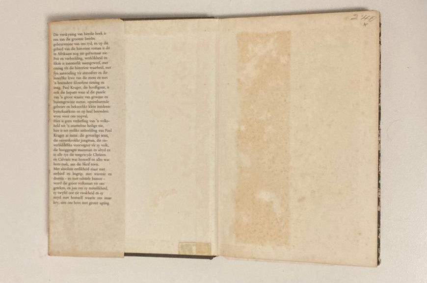 Die groot gryse - Anna M. Louw