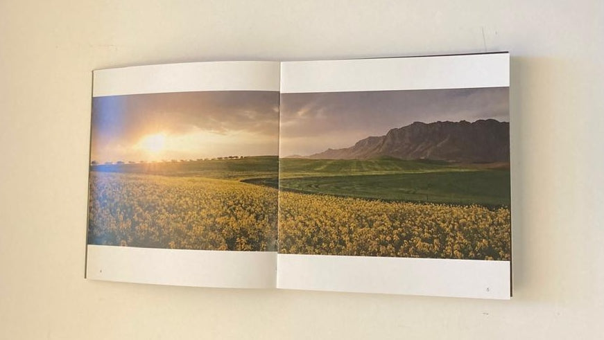 Spices South Africa: Flavours and traditions - Sophie Lindop