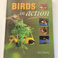 Birds in action - Phil Hockey