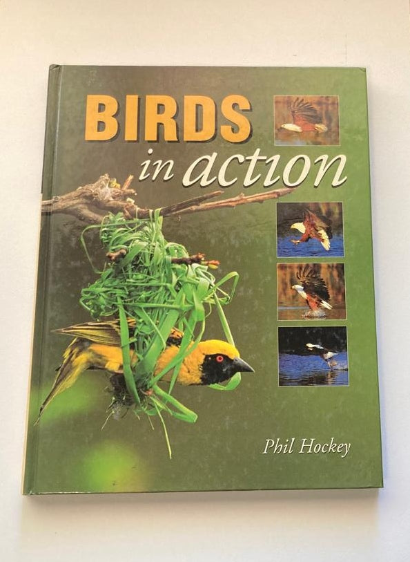Birds in action - Phil Hockey