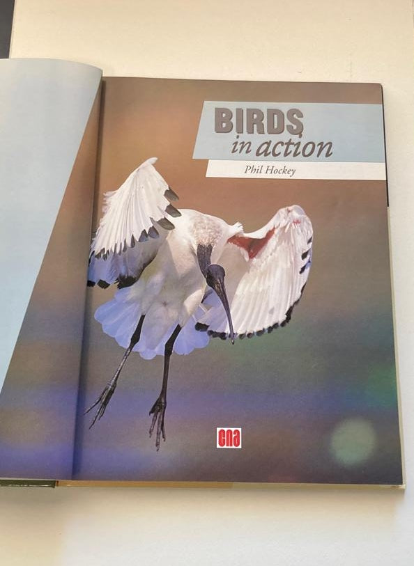 Birds in action - Phil Hockey
