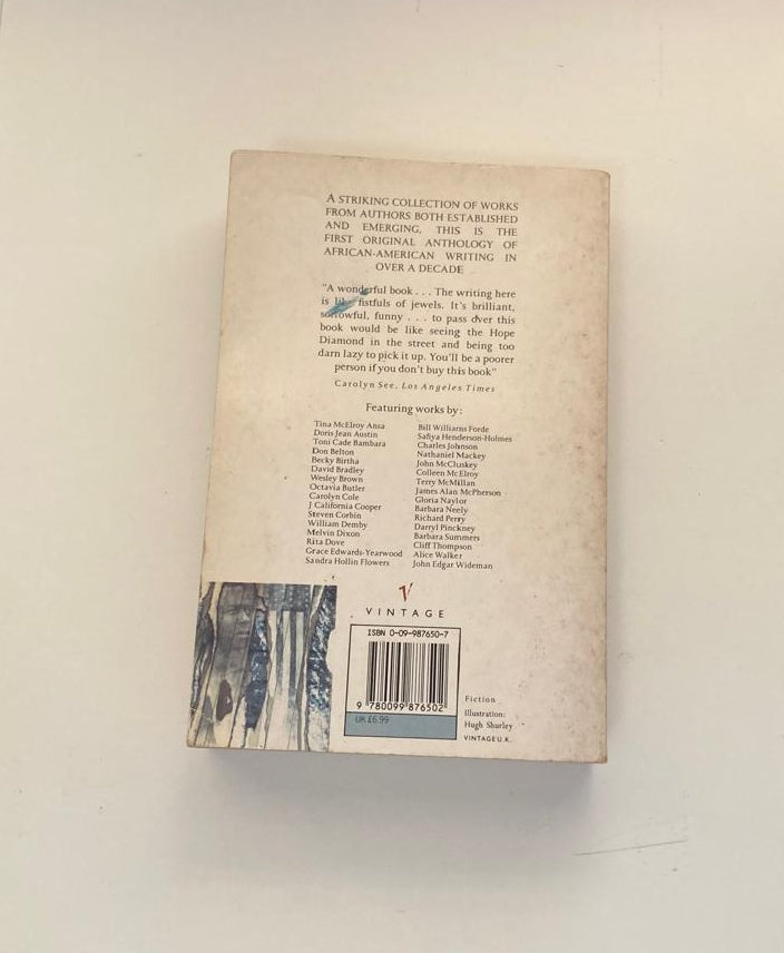 Breaking ice: An anthology of contemporary African-American fiction - Edited by Terry McMillan
