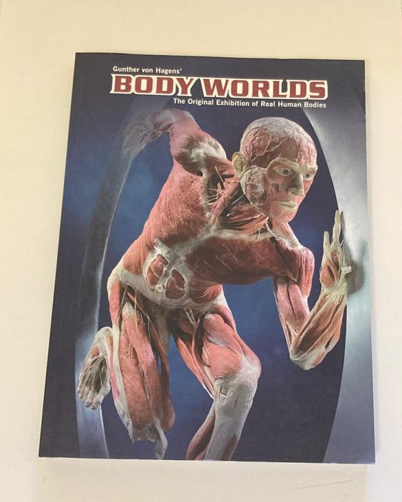 Body Worlds: The original exhibition of real human bodies - Gunther von Hagens