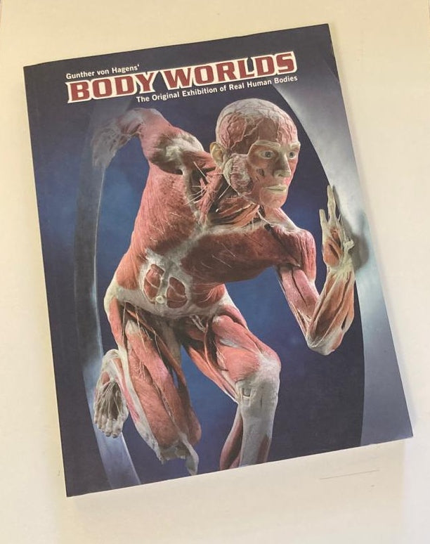 Body Worlds: The original exhibition of real human bodies - Gunther von Hagens