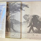 A struggle for survival: The elephant problem - Professor John Hanks (First edition)