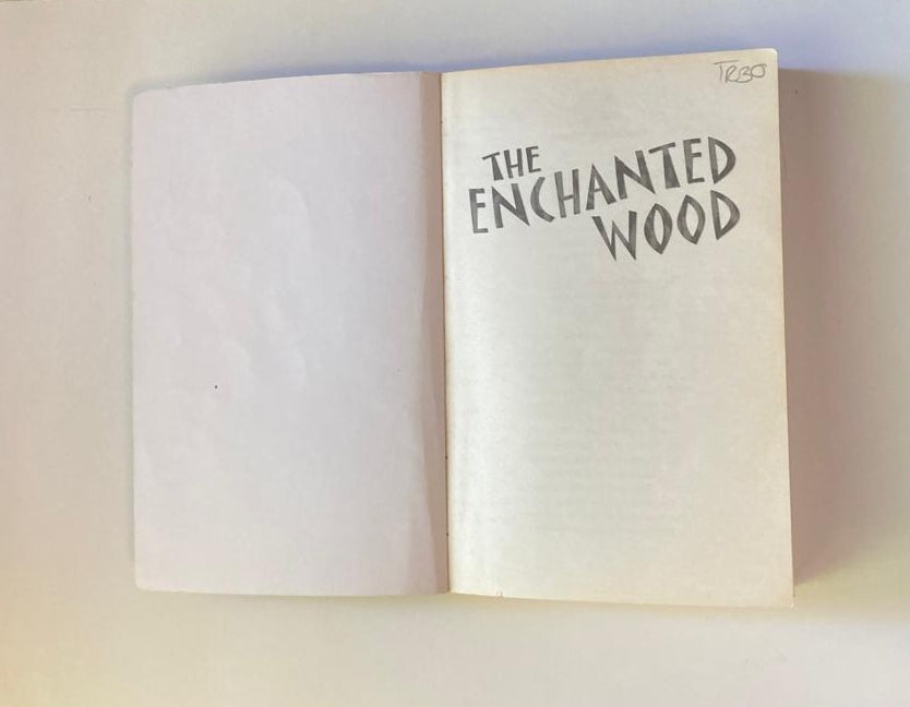 The enchanted wood - Enid Blyton (The Faraway Tree #1)