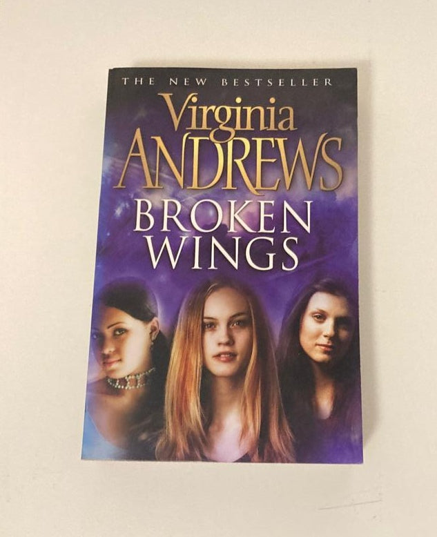 Broken wings - Virginia Andrews (Broken Wings #1)