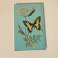 A colour guide to familiar butterflies, caterpillars and chrysalides - Josef Moucha