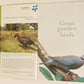 Great garden birds: The best tips & advice from Africa - Sasol (Ed: Eve Gracie)