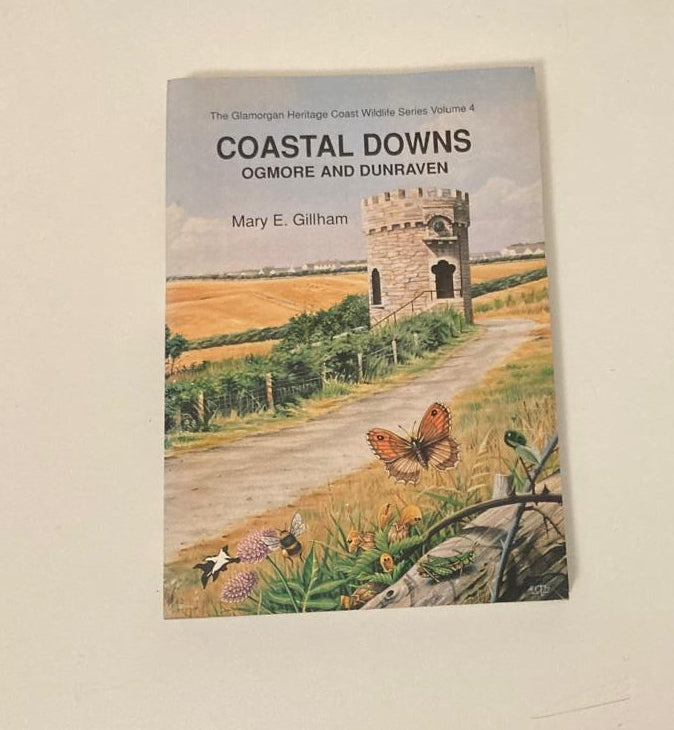 Coastal downs: Ogmore and Dunraven - Mary E. Gillham