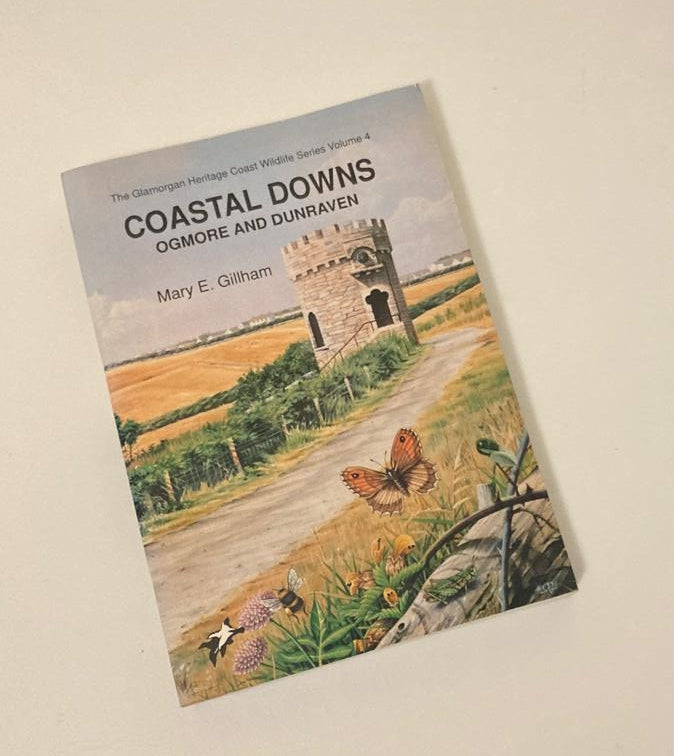 Coastal downs: Ogmore and Dunraven - Mary E. Gillham