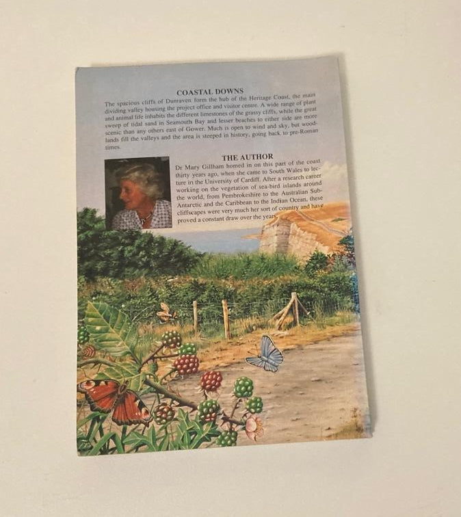 Coastal downs: Ogmore and Dunraven - Mary E. Gillham
