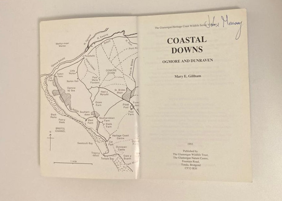 Coastal downs: Ogmore and Dunraven - Mary E. Gillham
