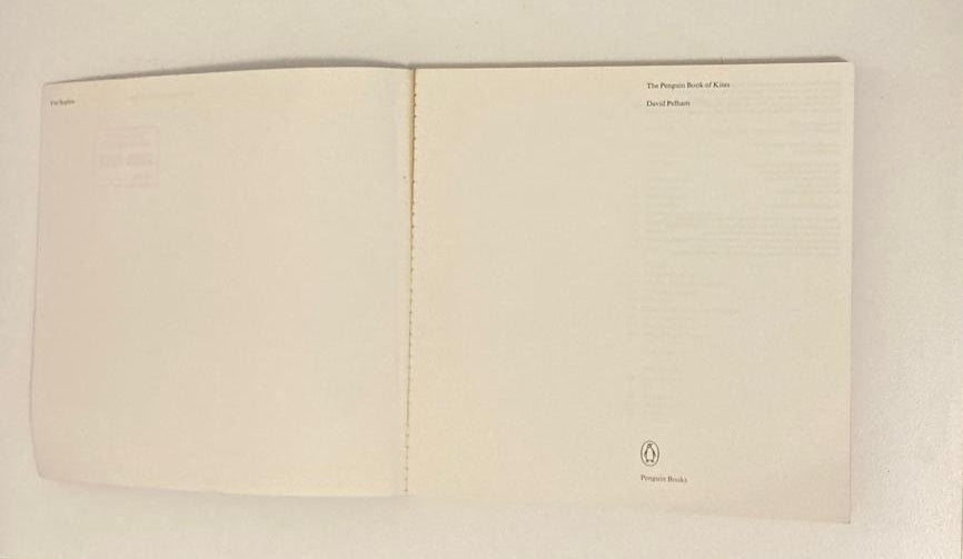 The Penguin book of kites - David Pelham