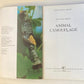 Animal camouflage - Otto von Fritsch