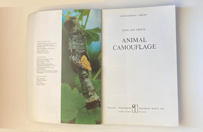 Animal camouflage - Otto von Fritsch