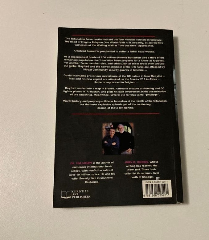 Assassins - Tim LaHaye & Jerry B Jenkins (First edition; Left behind #6)