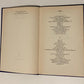 Otters in bronslaai - Antjie Krog (First edition)