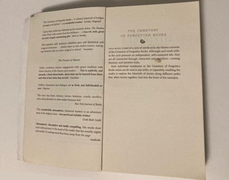 The labyrinth of the spirits - Carlos Ruiz Zafón