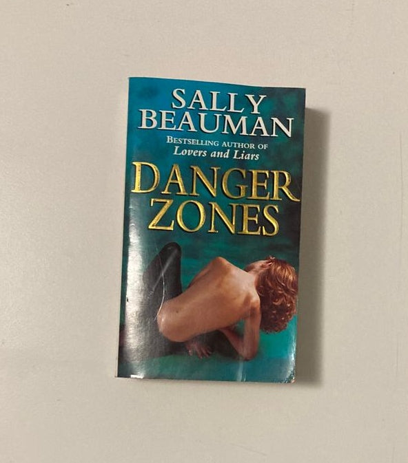 Danger zones - Sally Beauman (Journalists #2)