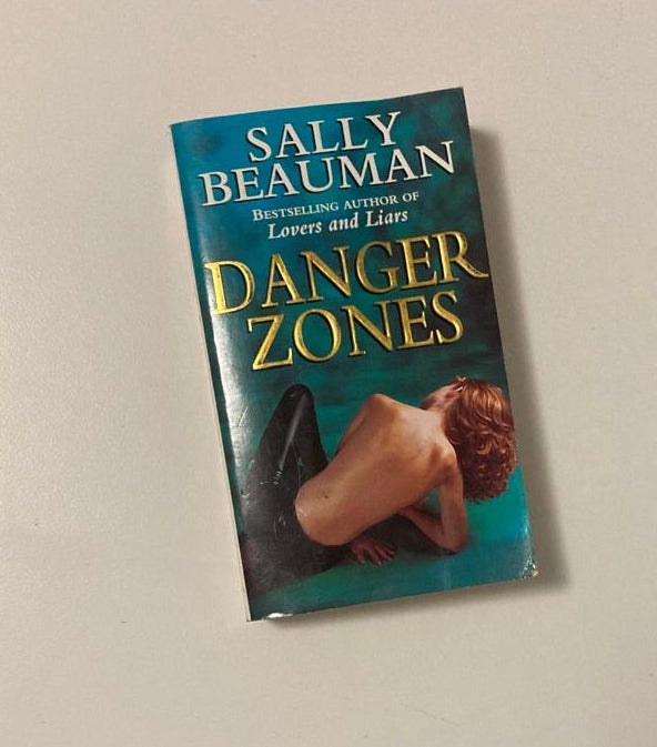 Danger zones - Sally Beauman (Journalists #2)