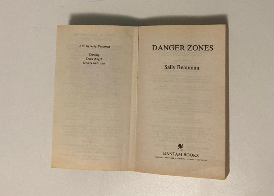 Danger zones - Sally Beauman (Journalists #2)