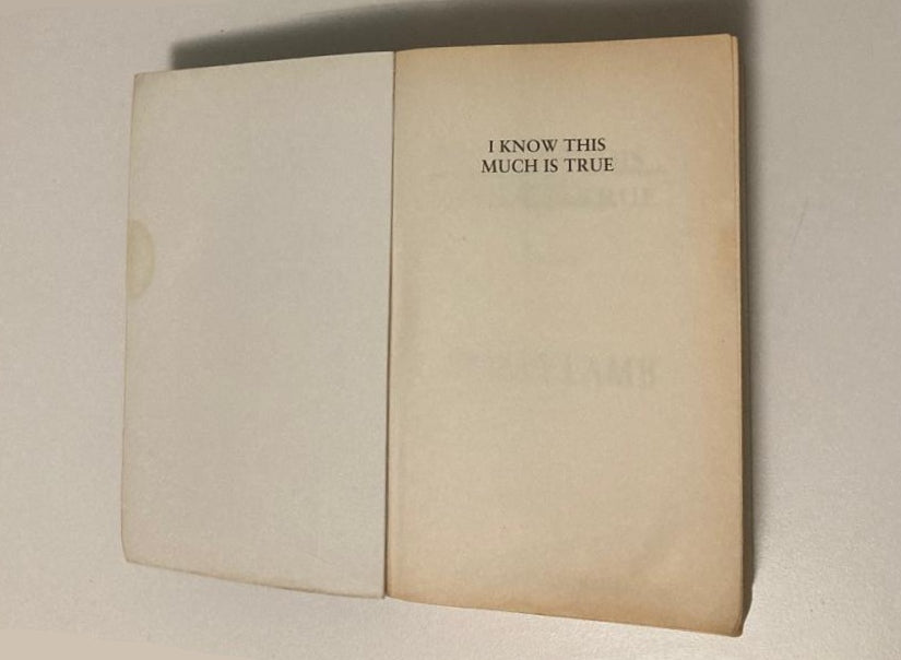 I know this much is true - Wally Lamb