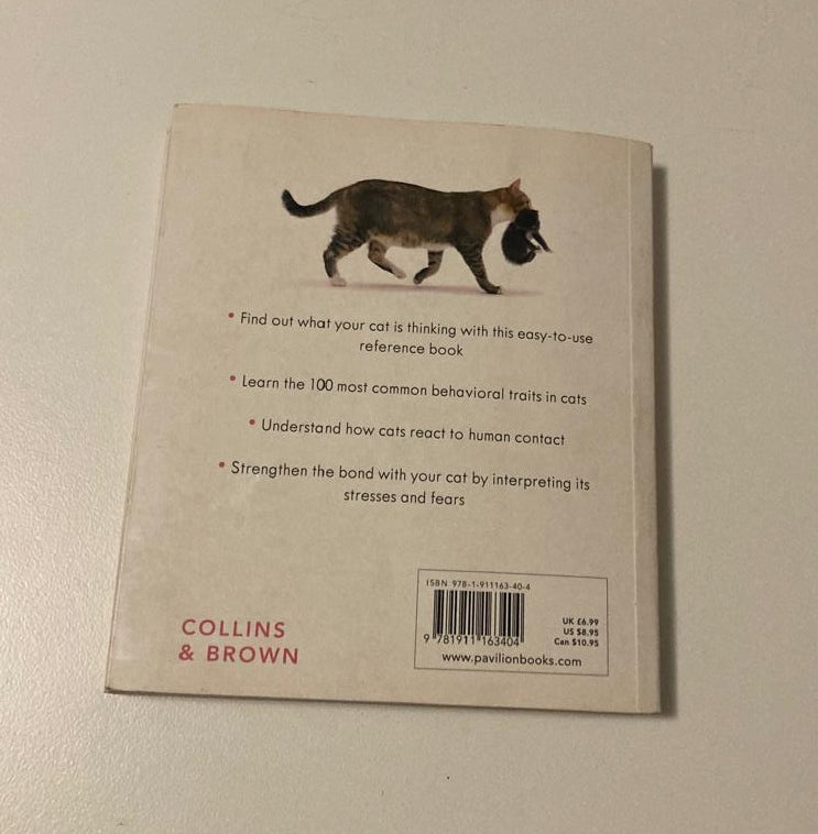 Cat body language: 100 ways to read their signals - Trevor Warner