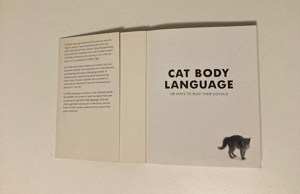 Cat body language: 100 ways to read their signals - Trevor Warner